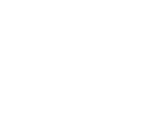 Offrir un accompagnement sur mesure aux entrepreneur e s de la diversité ethnoculturelle de partout au Québec pour fa   
