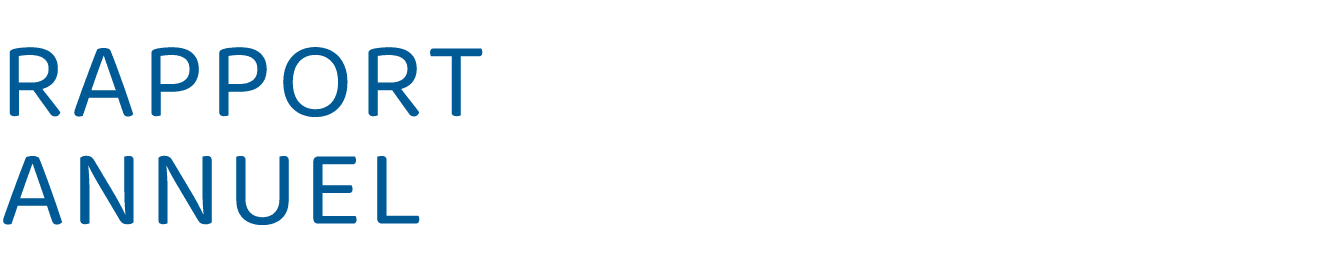 RAPPORT ANNUEL