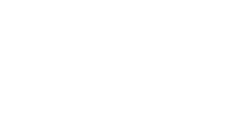 Mission Vision Valeurs 