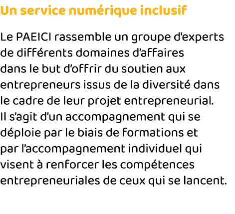 Un service numérique inclusif Le PAEICI rassemble un groupe d experts de différents domaines d affaires dans le but d   