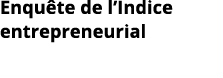 Enquête de l Indice entrepreneurial