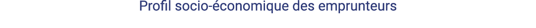 Profil socio-économique des emprunteurs 