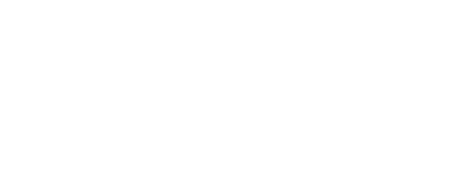 Entrepreneuriat féminin  
