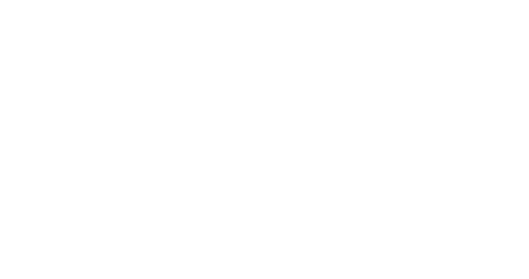 290