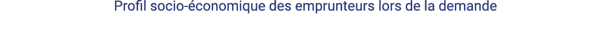 Profil socio-économique des emprunteurs lors de la demande  